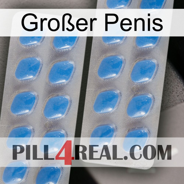 Großer Penis 23.jpg